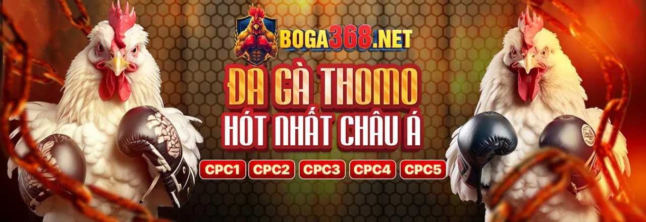 Cá cược thể thao f188