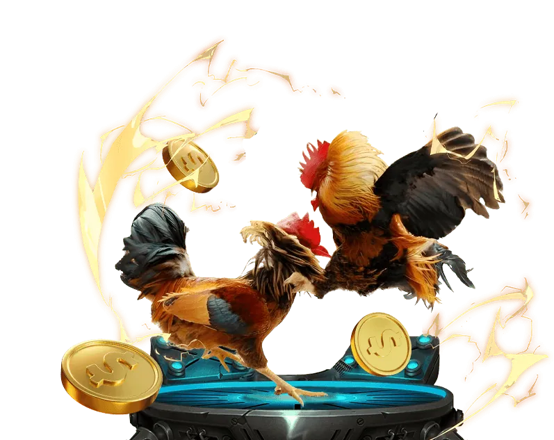 Các trận đá gà F188 kịch tính